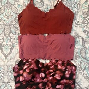 Danskin Scalloped Bralette Trio - Burgundy, Mauve, Floral